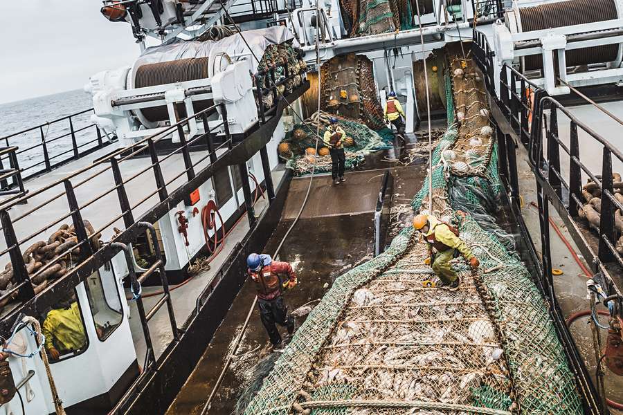 Alaska Pollock 360 Seafood